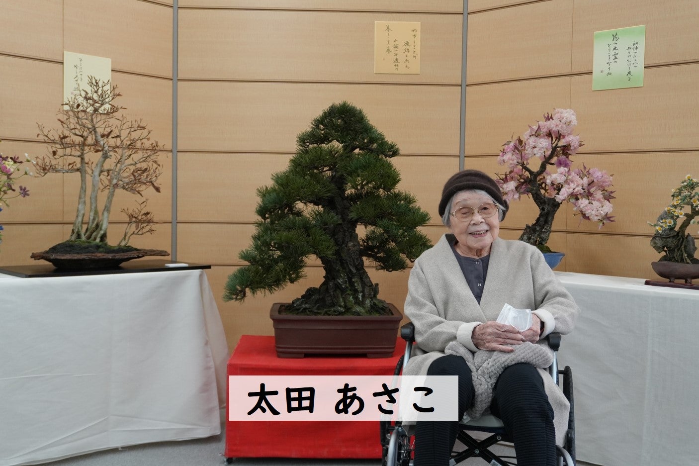 百寿記念 太田あさこ 創作アート盆栽展 | しずおか焼津信用金庫